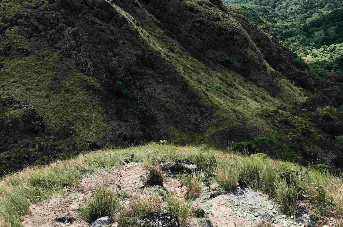 Hill with few plants